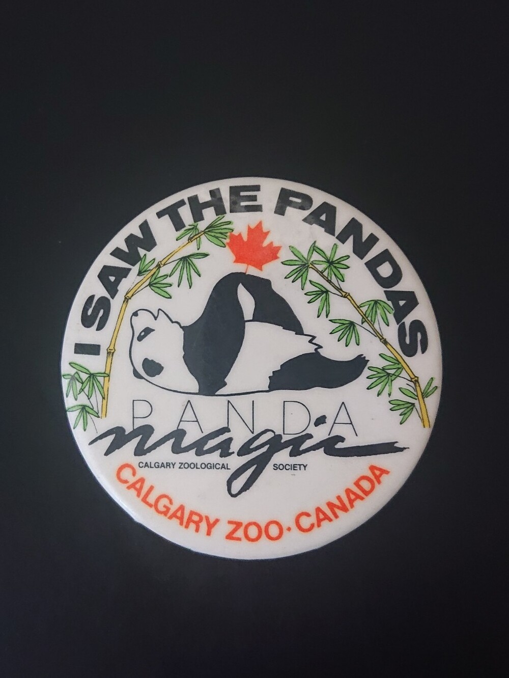 Vintage 2" Round Pin Button - Calgary Zoo Panda Magic - I Saw The Pandas